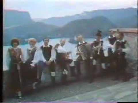 Ansambel Avsenik -