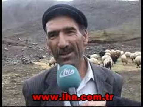 AYSUN KAYACI