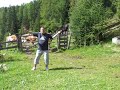 Chen-Style Tai Chi (Laojia 75) with Cows
