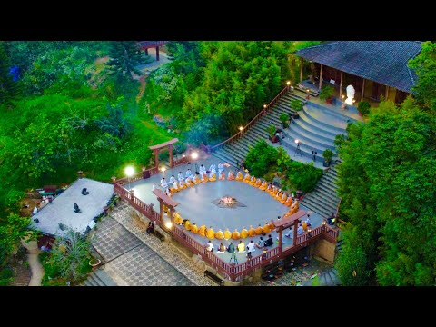 Trình Pháp NIKAYA - Khi Bệnh Tu Như Thế Nào ? Tâm Hiền Từ - Sám Hối Oan Gia Trái Chủ