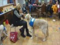 Merscheid 16.2.2012