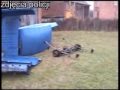 Złodziejska dziupla w Kraśniku