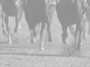 equestrain~Clocks