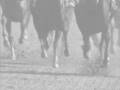 equestrain~Clocks
