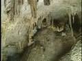 Mammoth Cave National Park