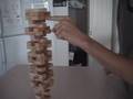 Jenga Fortuna