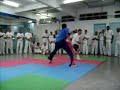 Defesa pessoal