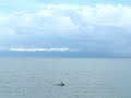 dabon beach in toledo city 2 dabon beach in toledo city 2