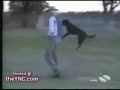caidas, golpes, porrazos-parte 3