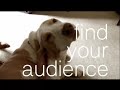 Zune: Dog Scratch Zune: Dog Scratch