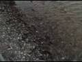 May 02 2007 - VID00078