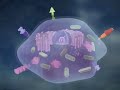 Pharmacology: Drug binding