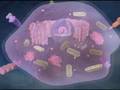Pharmacology: Drug binding