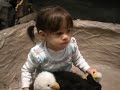 playing with baby and mommy eagle...