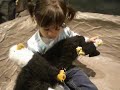 playing with baby and mommy eagle...