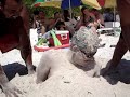 acarigua carora playita