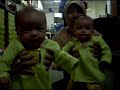 along, angah, farihin