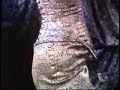 dita von teese on riplyes believe it or not i dont have the actual interview if someone does let me know please thanks =)