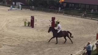 Visa D'inès GP125 07/2016