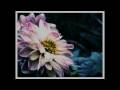 Joe Hisaishi - The Rain