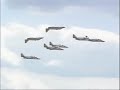 Patrulla �guila Air Show Radom Part 2