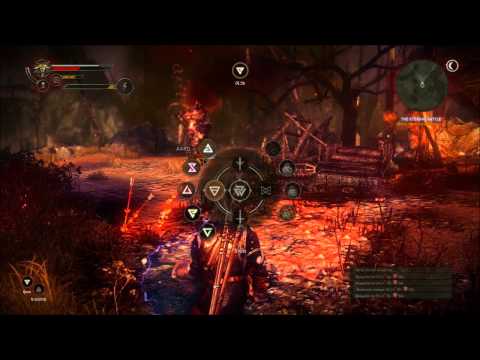 The Witcher 2 : Assassins of Kings