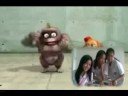 funny!!