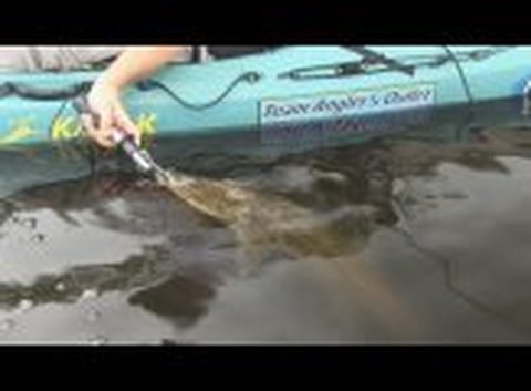 Kayak Caper
