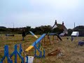 UKA Nursery Agility