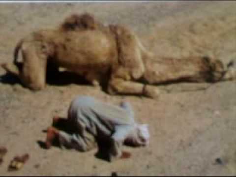 صور زب