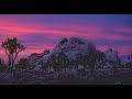 wild horses   mvid tribute to gram parsons