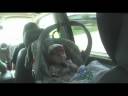 Blair goes for a ride **HD Encoded**