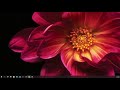 Moraine Heights Baptist Church Live Stream
