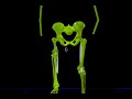 3D cycling analysis movie by IMACS Israel