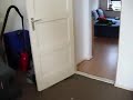 katze holt spielzeugmaus