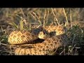 Primal Quest Badlands Web Episode 6
