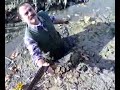 TESEO: CACCIATORE RECUPERATO!!!