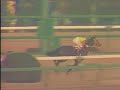 1986年有馬記念