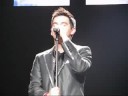 David - Idols Tour