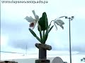 Tarapoto Rioja