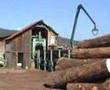 Vosges 2007: la scierie