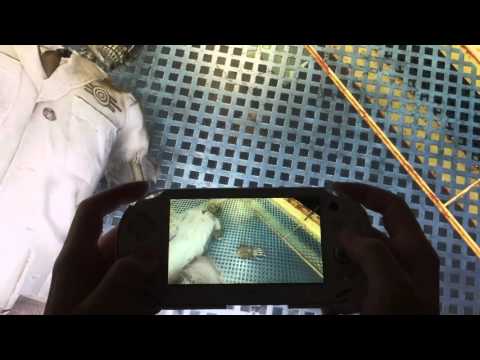 Vidéo 1