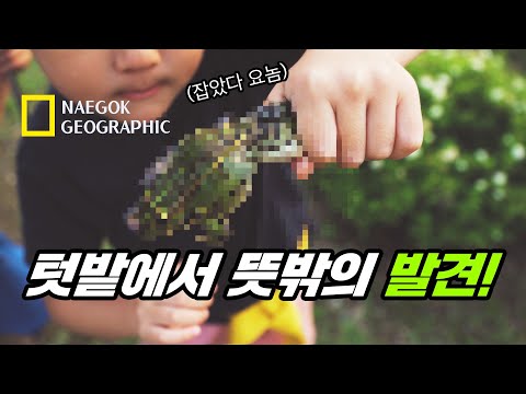 뜻밖의 발견! [EP.07 NAEGOK GEOGRAPHIC] | 서초전원일기