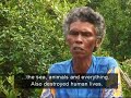 the-greenbelt-reports-love-thy-mangrove.html