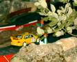 scalextric alcala la real 2ºparte