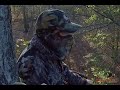Whitetail Deer - Bowhunt 