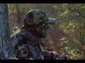 Whitetail Deer - Bowhunt \"I know I hit him!\"