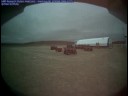 August 6, 2008 - HMP Research Station Webcam1 Time Lapse