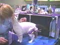 Kittie - Safe