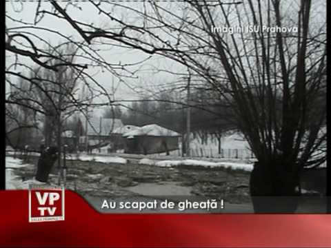 Au scapat de gheata!